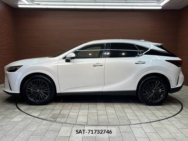Lexus RX 2023-12 8730868-16