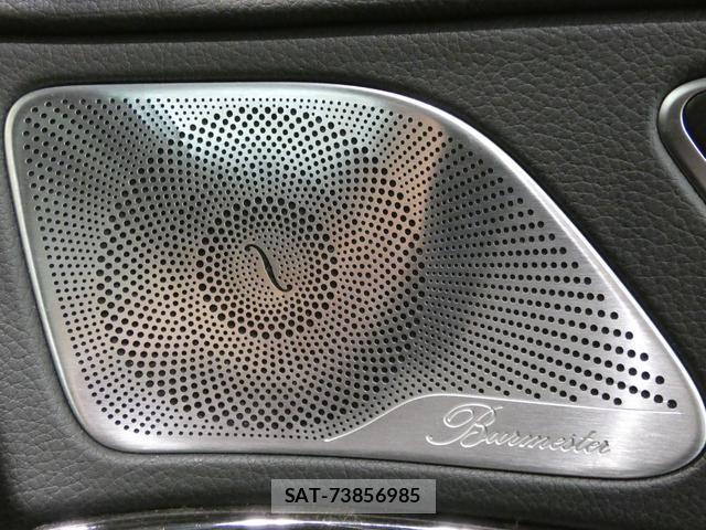 Mercedes Benz S-CLASS 2013-12 8730428-16