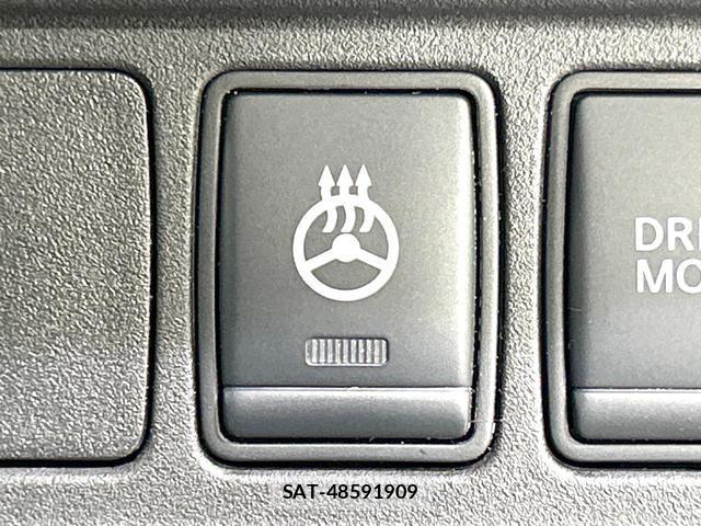 Nissan SERENA 2019-03 8727882-6