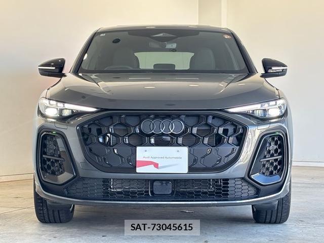 Audi SQ5 2025-07 8727918-18