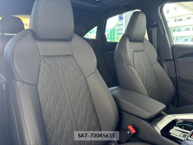 Audi SQ5 2025-07 8727918-3
