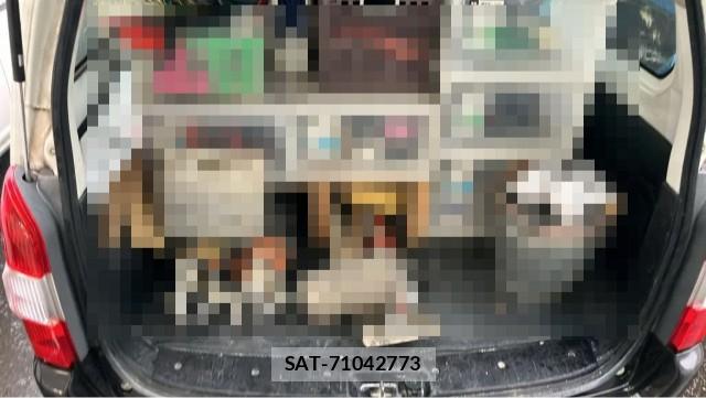 Toyota SUCCEED 2019-01 8729630-17
