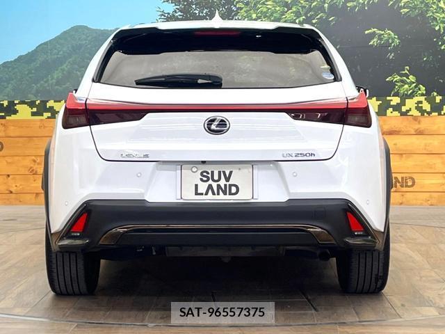 Lexus UX 2020-09 8727766-14