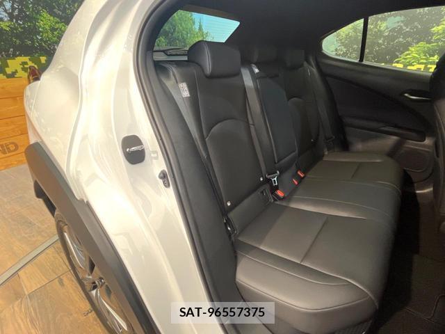 Lexus UX 2020-09 8727766-8