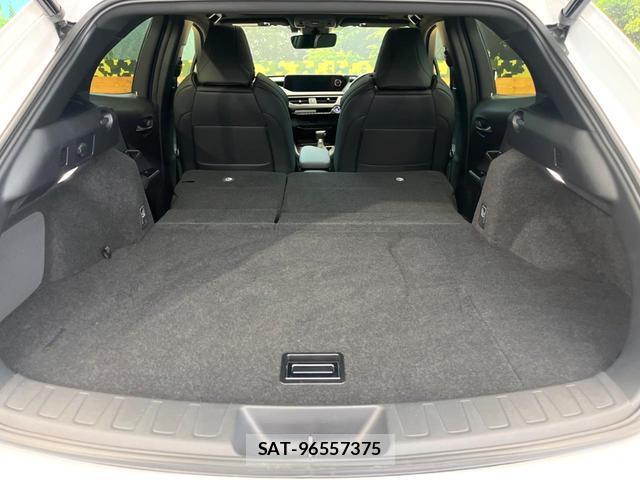 Lexus UX 2020-09 8727766-9