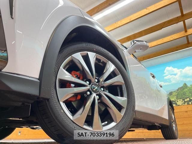 Lexus UX 2024-05 8730617-12
