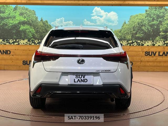 Lexus UX 2024-05 8730617-14