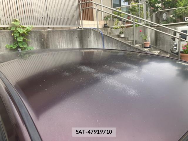 Toyota WISH 2012-06 8727687-7