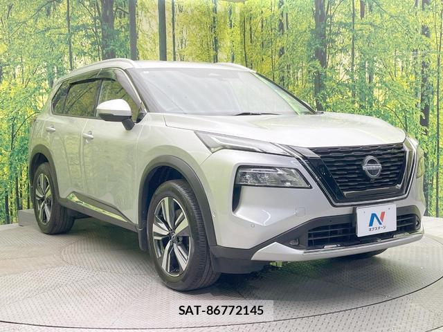 Nissan X-TRAIL 2024-03 8730487-15