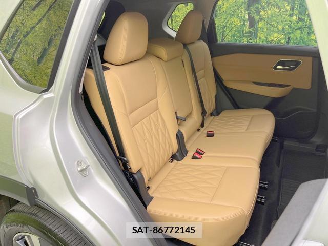 Nissan X-TRAIL 2024-03 8730487-8
