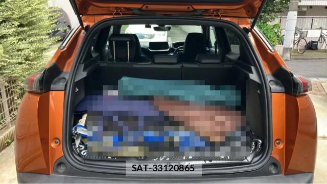 Peugeot 2008 2020-09 8753565-17