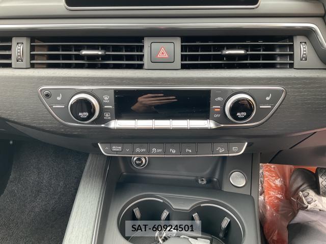 Audi A4 ALLROAD QUATTRO 2019-06 8752453-14