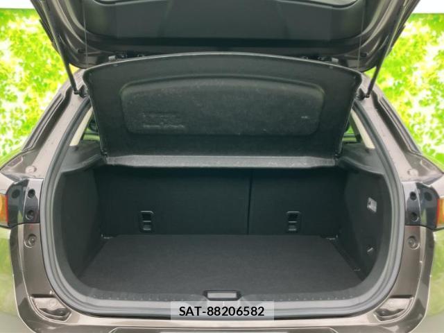 Mazda CX-3 2018-05 8753490-7