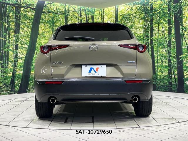 Mazda CX-30 2024-05 8752286-15