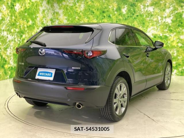 Mazda CX-30 2021-12 8752785-2