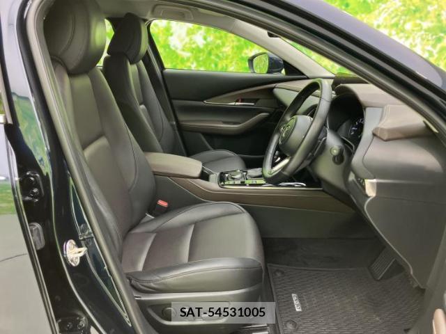 Mazda CX-30 2021-12 8752785-3