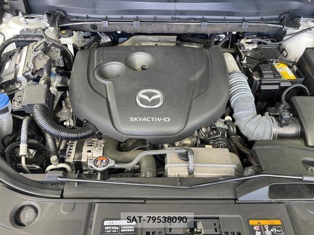 Mazda CX-8 2023-09 8752289-19