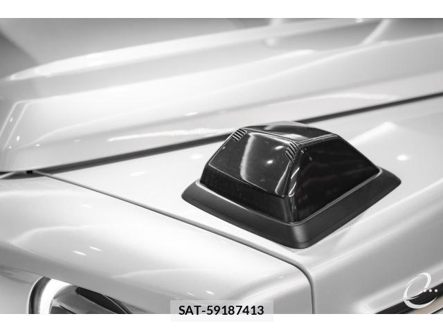 Mercedes Benz G-CLASS 2019-11 8752527-15