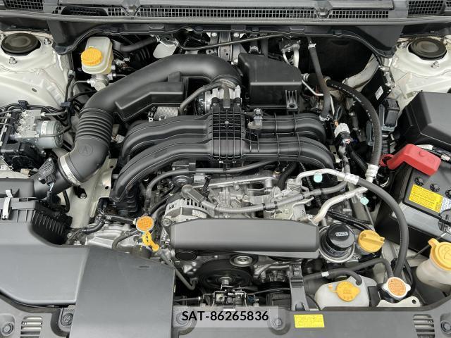 Subaru IMPREZA SPORTS 2019 8753308-19