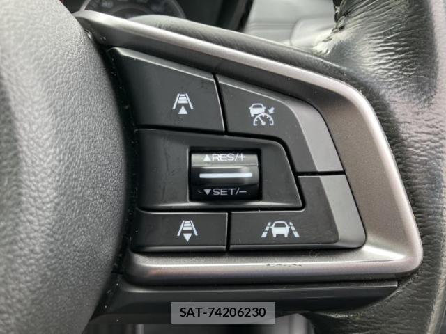 Subaru IMPREZA SPORTS 2019-07 8754485-17