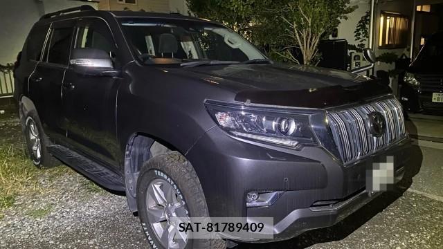 Toyota LAND CRUISER PRADO 2020-06 8753598-11