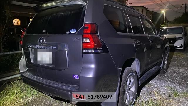 Toyota LAND CRUISER PRADO 2020-06 8753598-12