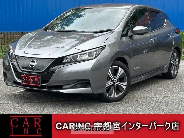 Nissan LEAF 2021-12 8753334-0