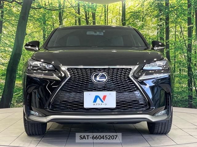 Lexus NX 2015-07 8752301-14