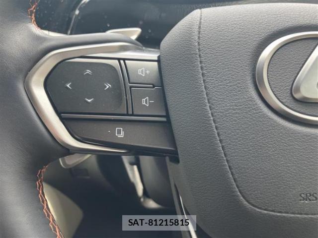 Lexus NX 2023-06 8752580-11