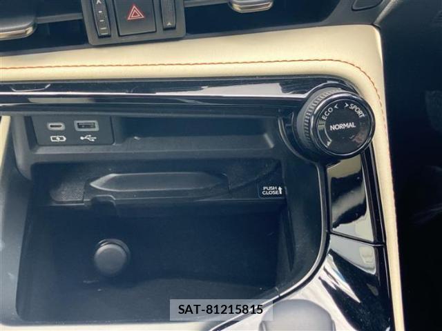 Lexus NX 2023-06 8752580-13