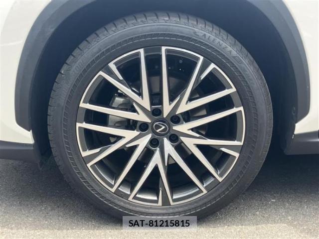 Lexus NX 2023-06 8752580-17