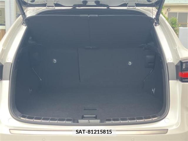 Lexus NX 2023-06 8752580-7