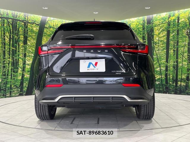 Lexus NX 2023-03 8752702-14