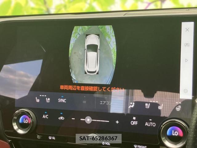 Lexus NX 2024-04 8752960-13