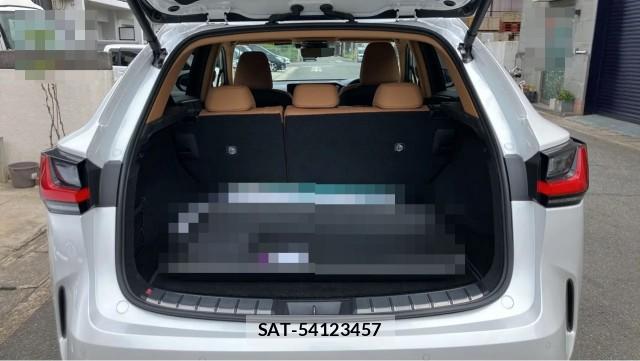 Lexus NX 2023-05 8753633-17