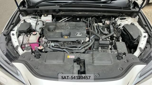 Lexus NX 2023-05 8753633-7