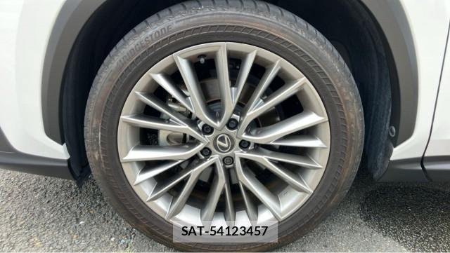 Lexus NX 2023-05 8753633-8