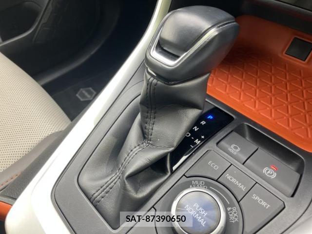 Toyota RAV4 2019-11 8752439-17