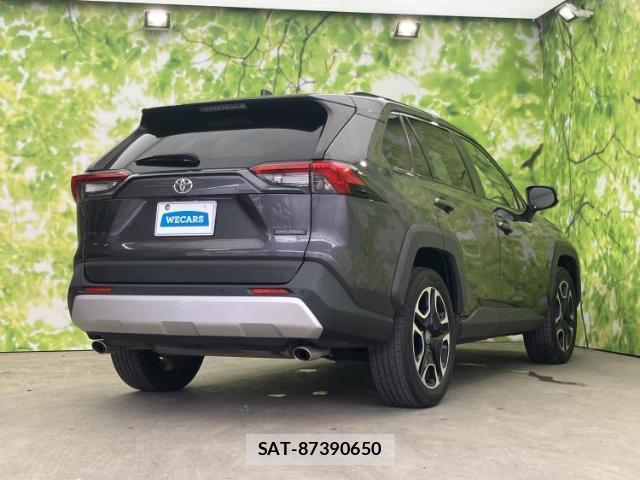Toyota RAV4 2019-11 8752439-2