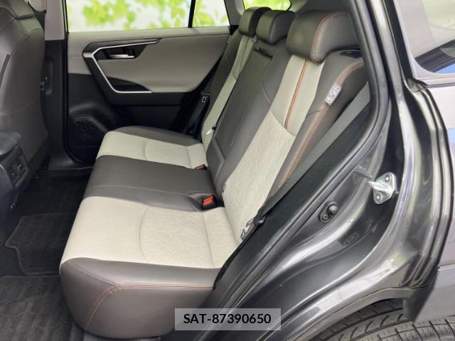 Toyota RAV4 2019-11 8752439-6