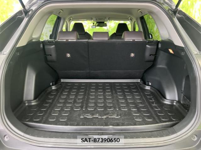 Toyota RAV4 2019-11 8752439-7