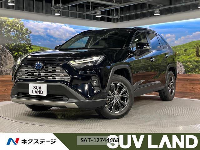 Toyota RAV4 2023-02 8752821-0