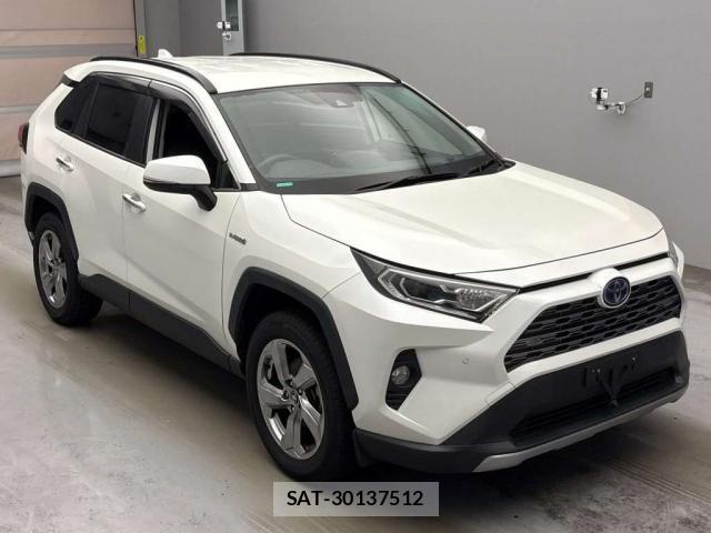 Toyota RAV4 2019-07 8753872-11