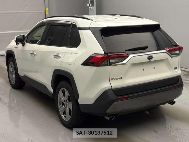 Toyota RAV4 2019-07 8753872-13