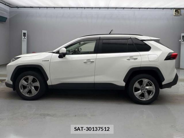 Toyota RAV4 2019-07 8753872-6