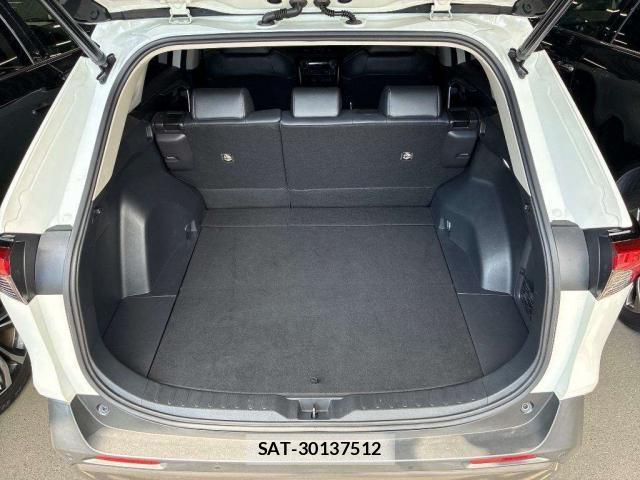Toyota RAV4 2019-07 8753872-7
