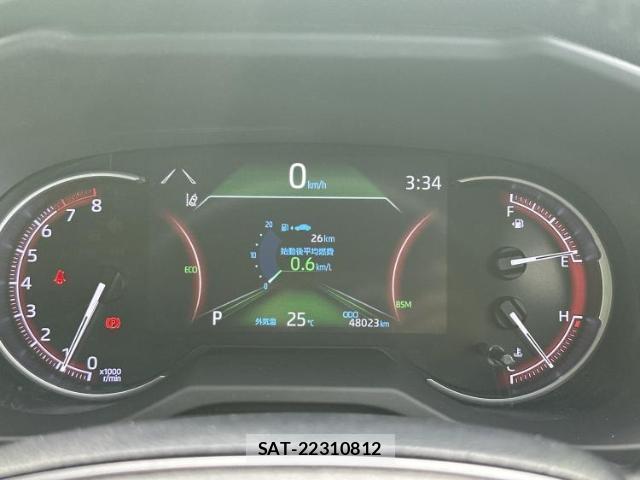 Toyota RAV4 2020-10 8754352-11