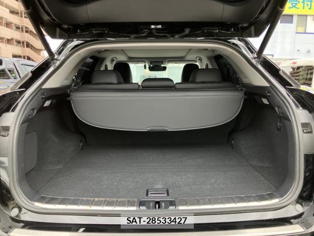 Lexus RX 2017-02 8752455-7