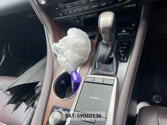 Lexus RX 2019-10 8753587-14