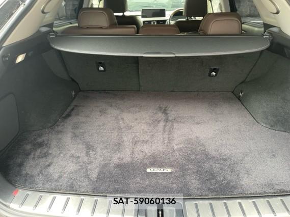 Lexus RX 2019-10 8753587-17